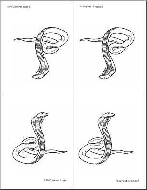 Nomenclature Cards: Snake (4, foldable) (b/w)