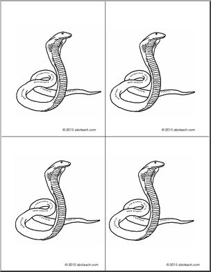 Nomenclature Cards: Snake (4) (b/w)