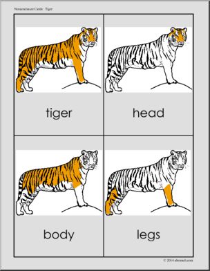 Nomenclature Cards: Tiger – Three Part Matching (color)