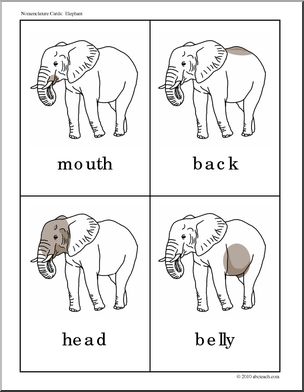 Nomenclature Cards: Elephant – Abcteach