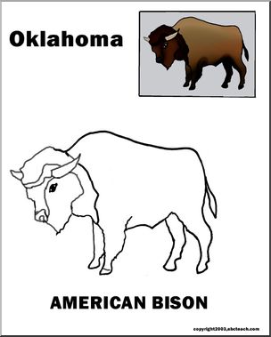 Kansas: State Animal – Buffalo – Abcteach