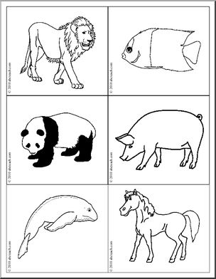 Science: Picture Cards: Plants/Animals (b/w)