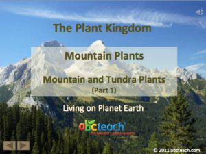 PowerPoint: Presentation with Audio: Plant Kingdom 12: Mountain Plants, Mountain and Tundra Plants Part 1:2 (upper elem/middle/high)