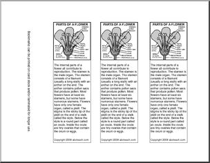 Bookmarks: Parts of a Flower -b/w (upper elem/middle)