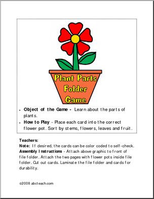 Sorting Game: Plant Parts (color)