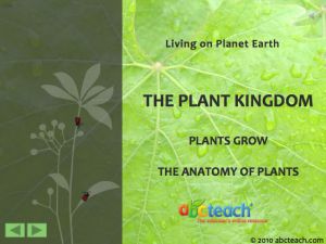 PowerPoint: Presentation with Audio: Plant Kingdom 3: Plants Grow  – The Anatomy of Plants (multi-age)