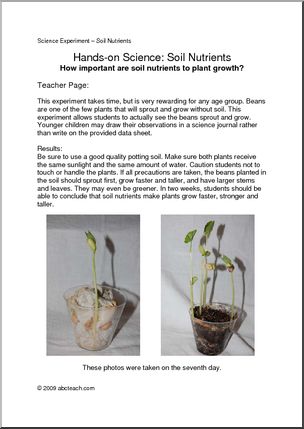 Experiment: Plants – Beans & Soil (elem/upper elem)