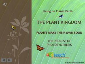 PowerPoint: Presentation with Audio: Plant Kingdom 1: Plants Photosynthesize  (multi-age)