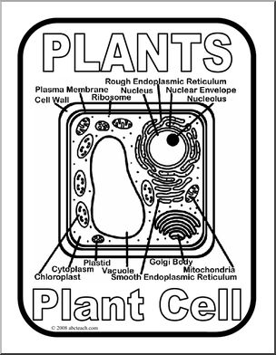 Poster: Plant Cell (b/w)