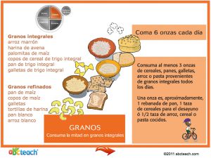 Interactive: Notebook: Spanish: MiPlato–Grupos de alimentos