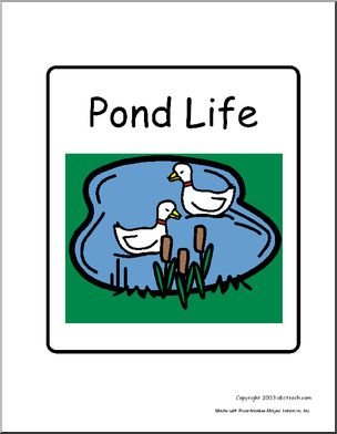 Sign: Pond Life