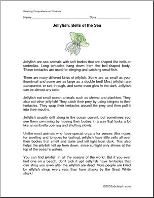 Comprehension: Jellyfish (upper elementary/ middle)