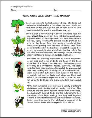 Fiction: Jodie’s Forest Walk (upper elem)