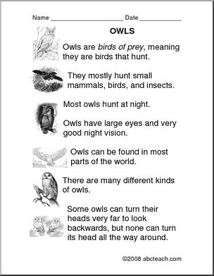 Comprehension: Owls (primary/elem)