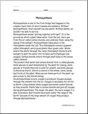 Comprehension: Photosynthesis (upper elem/middle)