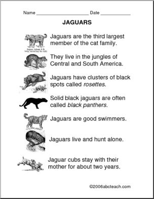 Comprehension: Jaguars (primary)