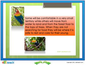 PowerPoint Presentation: Rainforest Biomes (upper elem)