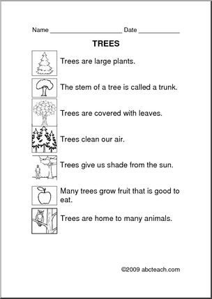 Comprehension: Plants – Trees (primary)