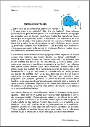 Spanish: ComprensiÃ›n de texto – Las ballenas.