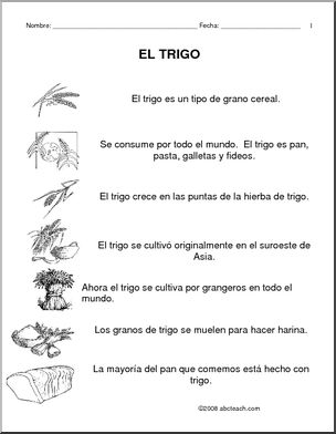 Spanish: ComprensiÃ›n de lectura – El trigo (elementaria/secundaria)