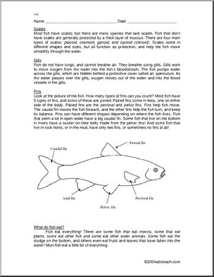 Comprehension: Fish (elem/upper elem) – Abcteach