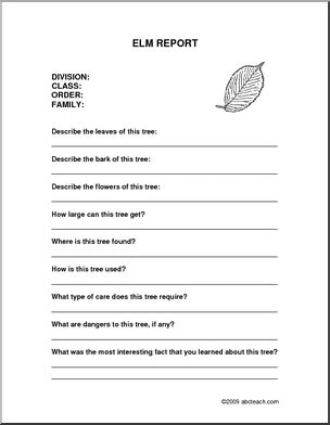 Report Form: Tree – Elm