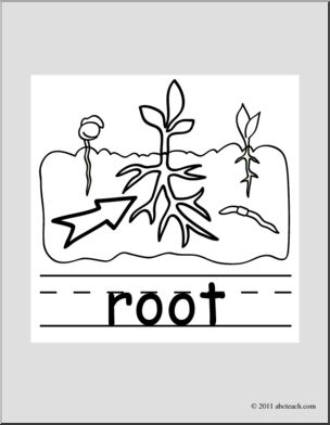 Clip Art: Basic Words: Root B&W (poster)