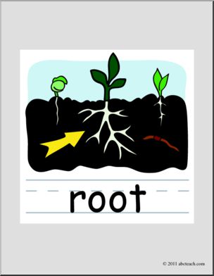 Clip Art: Basic Words: Root Color (poster)