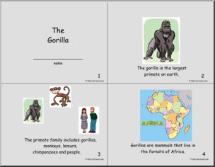Early Reader: Science; Gorillas (primary) (color)