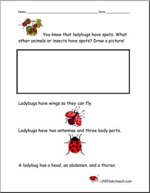 Comprehension: Ladybugs (primary)