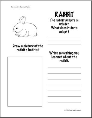 Science: Rabbit Information Page (Grade 1)
