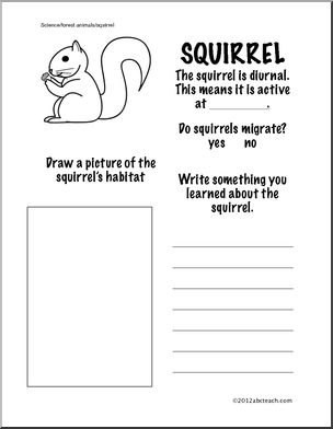 science squirrel information page grade 1 abcteach