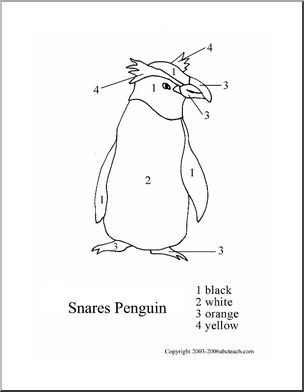 Color By Number: Snares Penguin