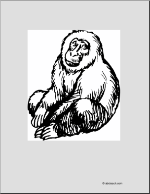 Coloring Page: Snow Monkey