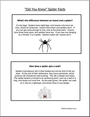Did You Know? Spiders (color)