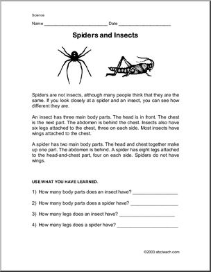 Comprehension: Spiders and Insects (elementary)