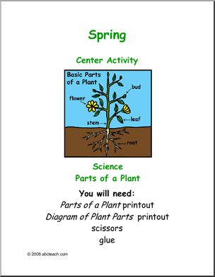 Learning Center: Spring – Plant Diagram
