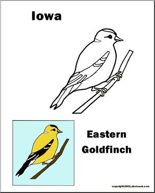 Arizona: State Bird – Cactus Wren – Abcteach