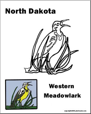 North Dakota: State Bird – Western Meadowlark