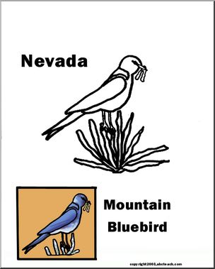 Nevada: State Bird – Mountain Bluebird – Abcteach