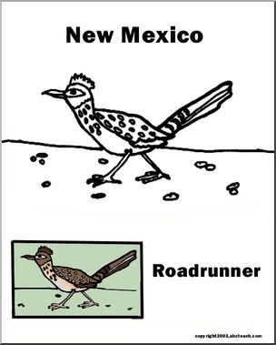 New Mexico: State Bird – Roadrunner – Abcteach