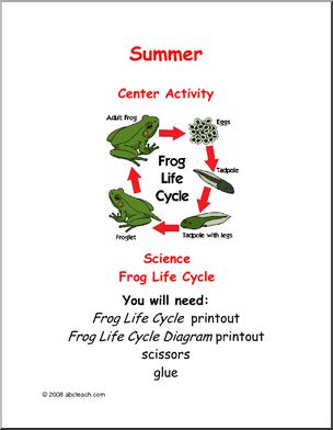 Learning Center: Summer – Science – Frog Cycle