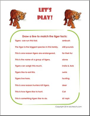Summer Fun Packet: Tigers