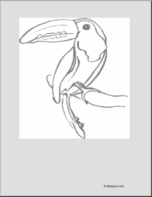 Coloring Page: Toucan