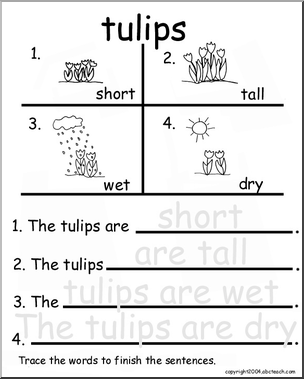 Beginning Writing Practice, Set 19a – trace (tulips)