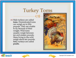 Interactive: Notebook: Reading Comprehension: Thanksgiving (turkey)