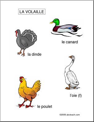 French: Poster–Volaille–Poultry