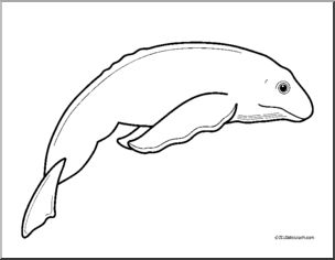 Clip Art: Baby Animals: Whale Calf (coloring page)