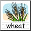 Clip Art: Basic Words: Wheat Color (poster)