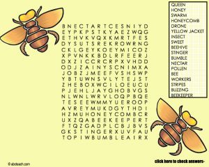 Interactive: Notebook: Word Search–Bee–Rectangle